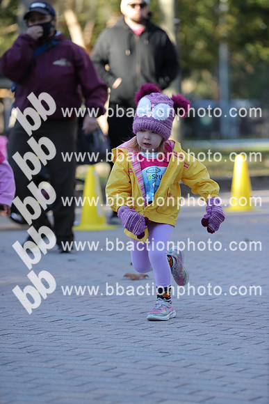 FFP_3643